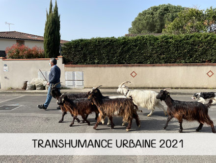 transhumance-urbaine-2021